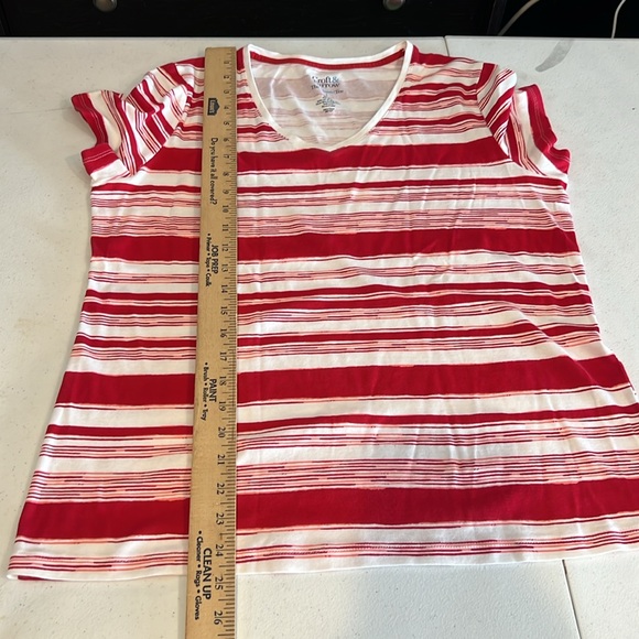 🪷 striped v neck tee. Large - Picture 3 of 5